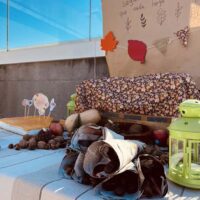 Txurdinagabarri da la bienvenida al otoño con música, tertulia y "mug cake" Txurdinagabarri da la bienvenida al otoño con música, tertulia y "mug cake"