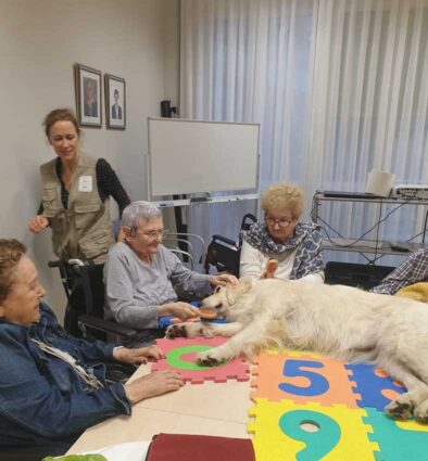 Ospitalean eta Txurdinagabarrin animaliekin lagundutako terapia egiteko saio berriak Ospitalean eta Txurdinagabarrin animaliekin lagundutako terapia egiteko saio berriak