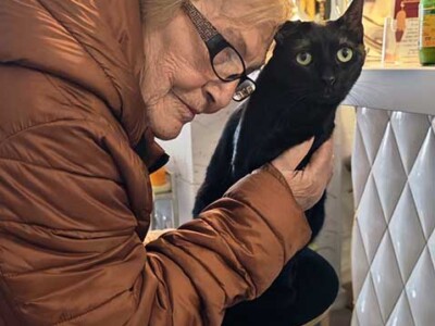 Volvemos al "cat café" "El salón de mi casa" Una mujer mayor acaricia a un gato que está sobre una banqueta