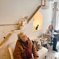 "El salón de mi casa” “cat cafe”ra itzuli gara