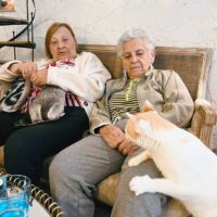 "El salón de mi casa” “cat cafe”ra itzuli gara
