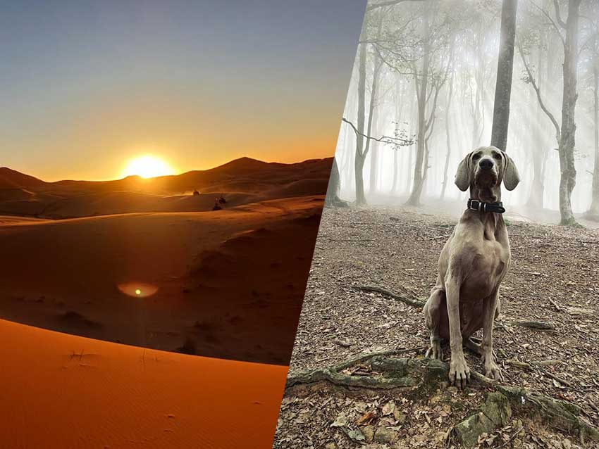 Unas dunas lejanas y un paisaje otoñal se llevan el 5º Concurso de Fotografía y Euskera Montaje con dos imágenes