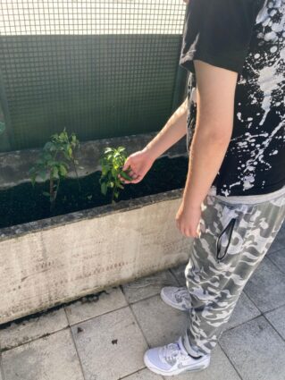 Baratzezaintza terapeutikoaren onurak adimen desgaitasuna duten pertsonengan