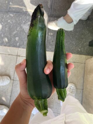 Baratzezaintza terapeutikoaren onurak adimen desgaitasuna duten pertsonengan