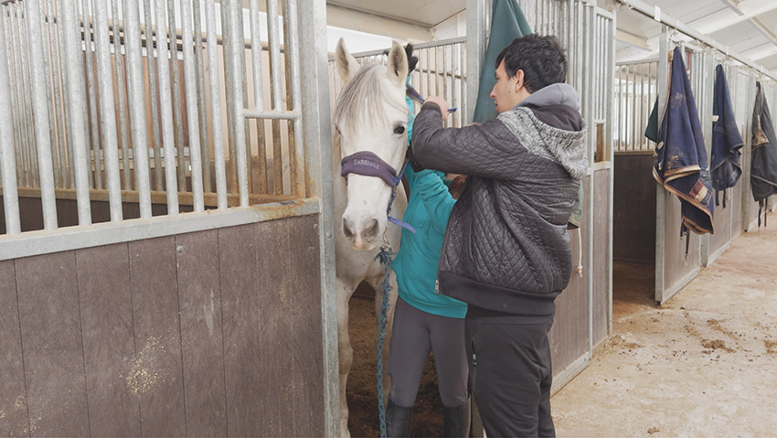 Equinoterapia en enfermedad mental y discapacidad intelectual: beneficios de la terapia asistida con caballos Un joven, junto a un caballo en una cuadra antes de una sesión de equinoterapia