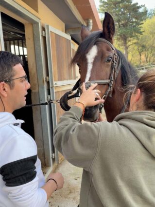 Cuando tomar las riendas es más que guiar caballos Un hombre y una mujer jóvenes colocan los arreos a un caballo