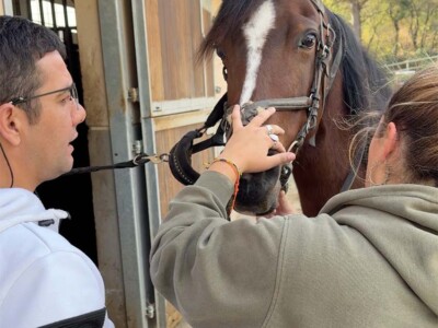 Gizon eta emakume gazte batek, uhaleria zaldi bati jartzen