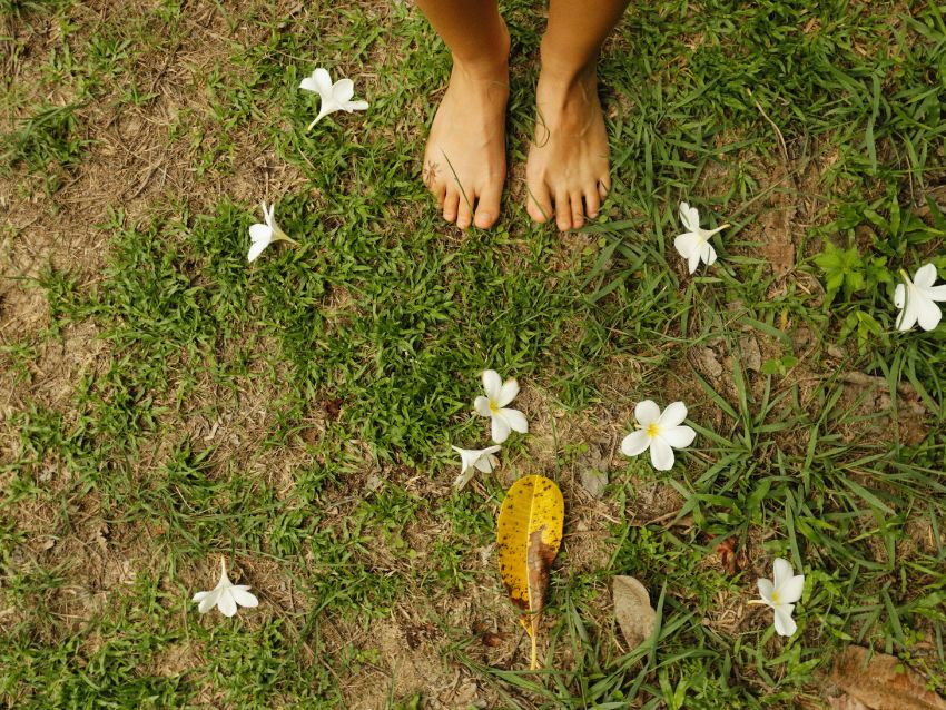 Romper el silencio sobre la sexualidad en la discapacidad intelectual, una cuestión de derechos y salud Unos pies descalzos sobre el cesped